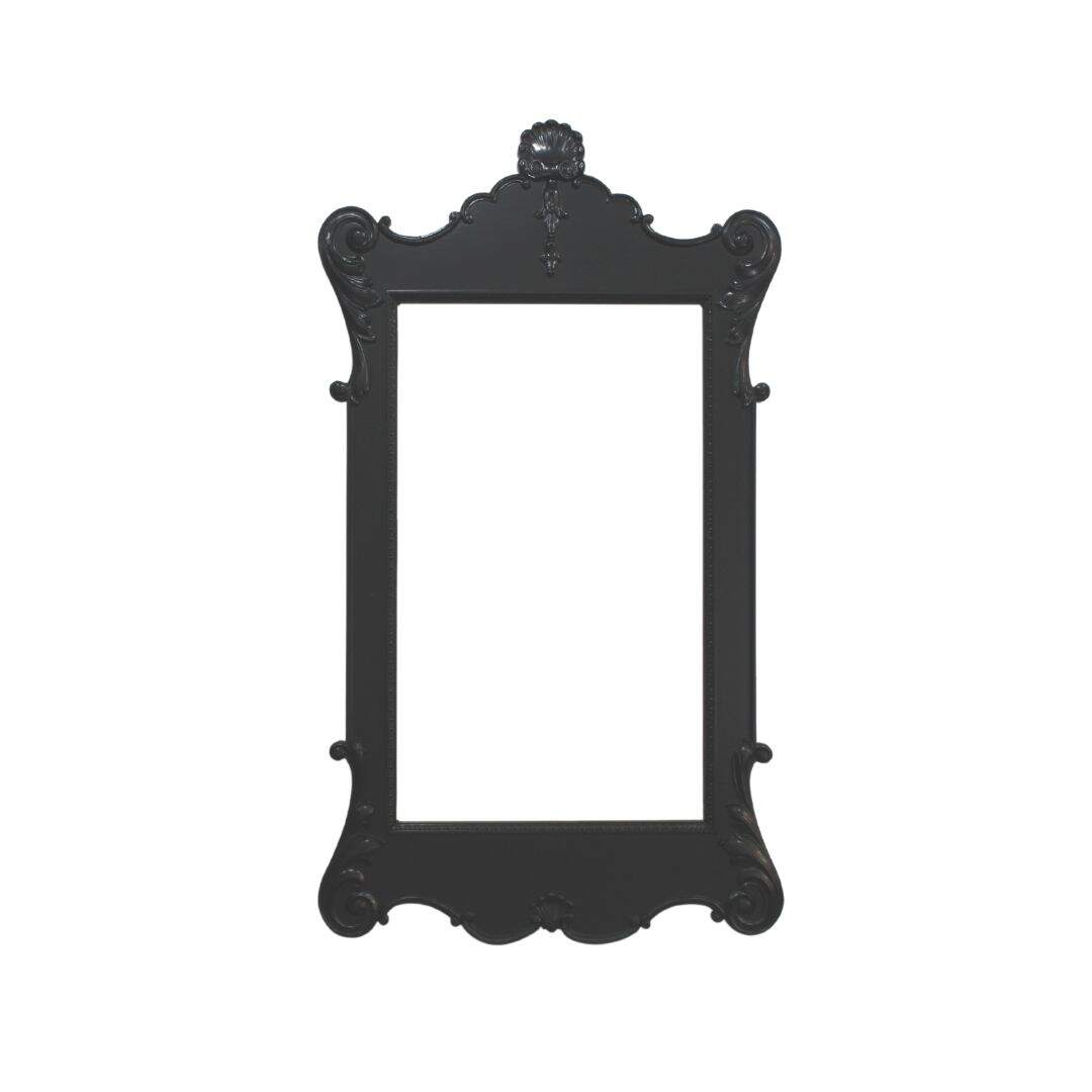 Black French provincial mirror